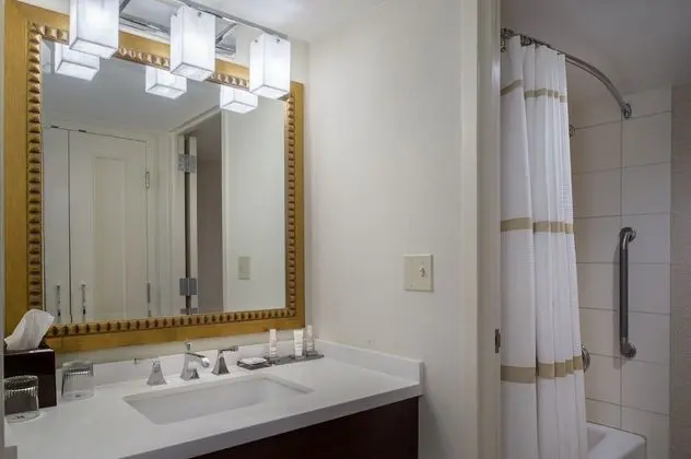 Executive Oda, 1 En Büyük (King) Boy Yatak ve Çekyat, Göl Manzaralı