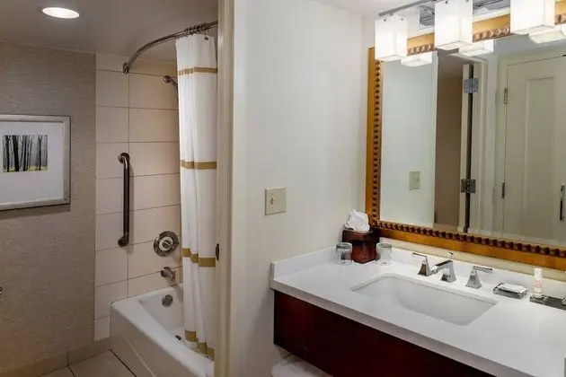 Executive Oda, 1 En Büyük (King) Boy Yatak ve Çekyat, Göl Manzaralı