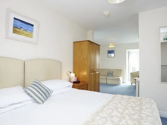 Premium Tek Büyük veya İki Ayrı Yataklı Oda, Banyolu/Duşlu (Room 7)