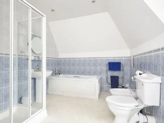 Superior Tek Büyük veya İki Ayrı Yataklı Oda, Banyolu/Duşlu (Room 8)