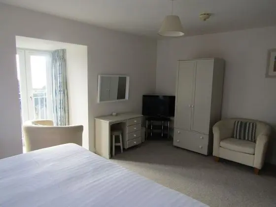 Superior Tek Büyük veya İki Ayrı Yataklı Oda, Banyolu/Duşlu (Room 8)