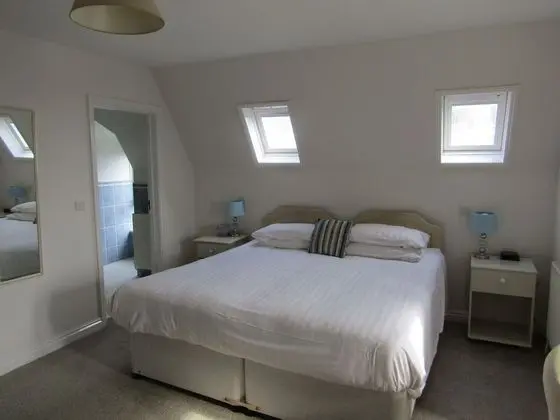 Superior Tek Büyük veya İki Ayrı Yataklı Oda, Banyolu/Duşlu (Room 8)