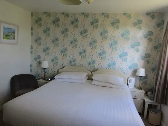 Tek Büyük veya İki Ayrı Yataklı Oda, Banyolu/Duşlu (Room 11)