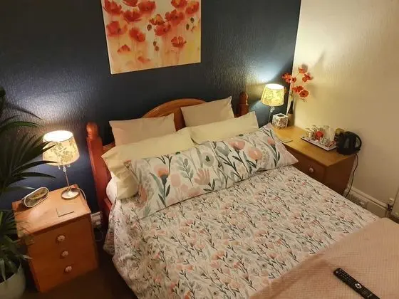 Comfort Tek Büyük Yataklı Oda, 1 Çift Kişilik Yatak, Banyolu/Duşlu