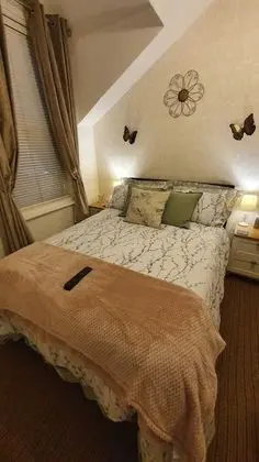 Comfort Tek Büyük Yataklı Oda, 1 Çift Kişilik Yatak, Banyolu/Duşlu