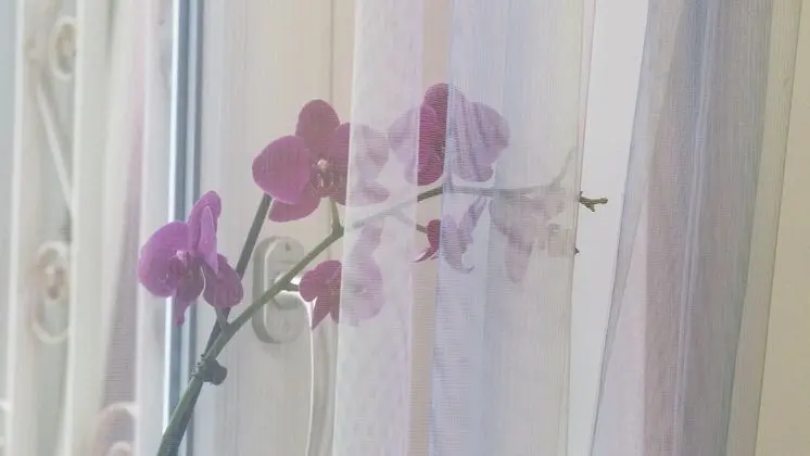 Deluxe Tek Kişilik Oda, Balkon (Num. 2)