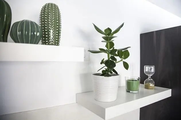 Deluxe Tek Büyük Yataklı Oda, Şehir Manzaralı