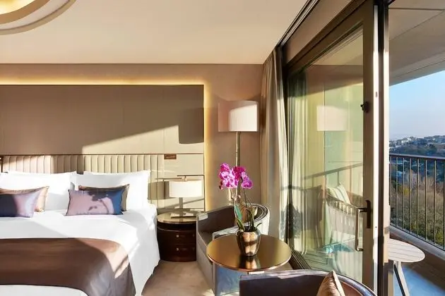Grand Oda, 1 En Büyük (King) Boy Yatak, Balkon, Park Manzaralı (Grand Deluxe)