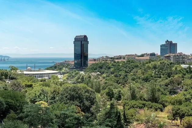 Süit, 1 Yatak Odası, Park Manzaralı (Cosmopolitan Suite)