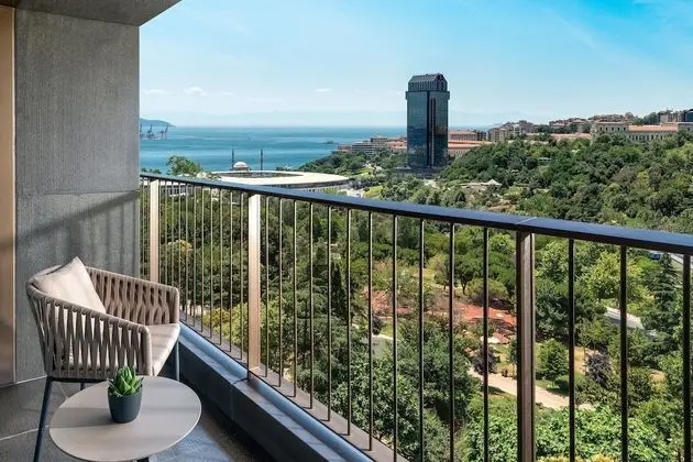 Süit, 1 Yatak Odası, Sigara İçilmez, Park Manzaralı (Caroline Astor Suite)