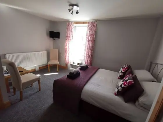 Tek Büyük Yataklı Oda, Banyolu/Duşlu (Room 2)