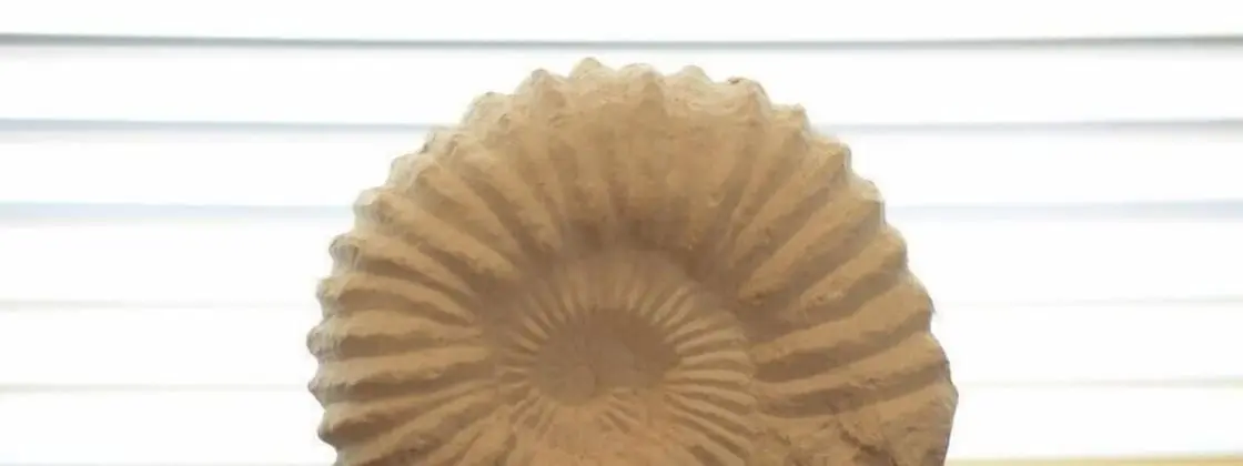 Kır Evi, 1 Yatak Odası (Birch)
