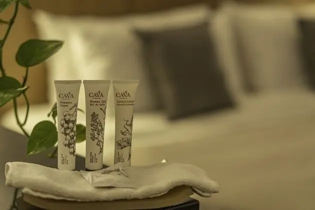 Deluxe Tek Kişilik Oda