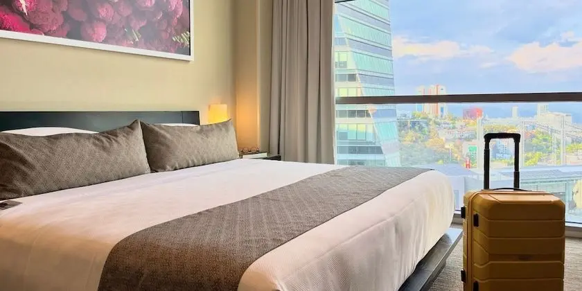 Deluxe Oda, 1 En Büyük (King) Boy Yatak, Şehir Manzaralı