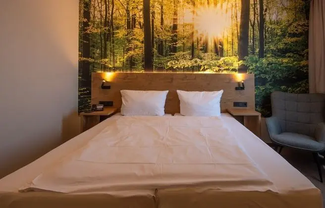 Superior Tek Büyük Yataklı Oda, 1 Yatak Odası