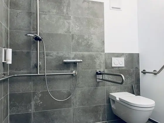 Tek Büyük Yataklı Oda, 1 Çift Kişilik Yatak, Engellilere Uygun