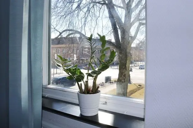 Classic Tek Kişilik Oda