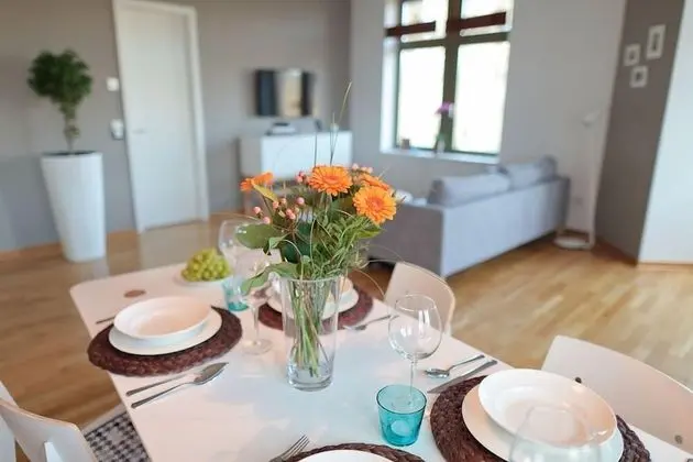 City Apart Daire, Şehir Manzaralı (Harkortstrasse)