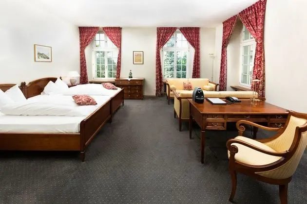 Deluxe Büyük Yataklı Tek Kişilik Oda, Sigara İçilmez