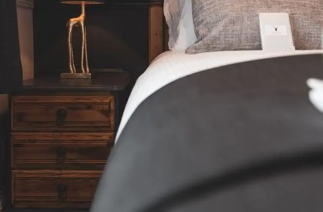 Standard Tek Büyük Yataklı Oda, 1 En Büyük (King) Boy Yatak (Deluxe Double Room)