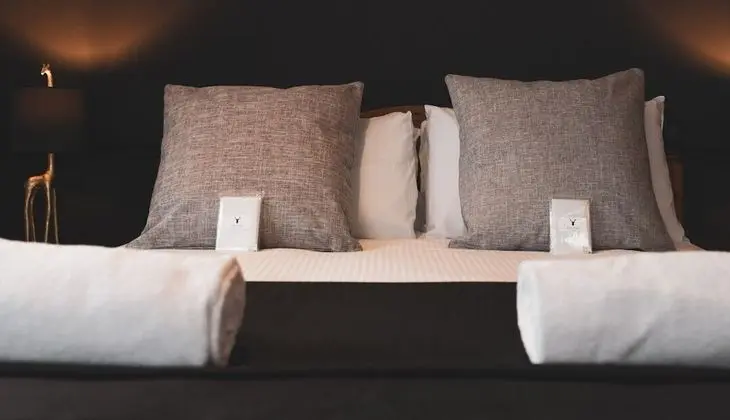 Standard Tek Büyük Yataklı Oda, 1 En Büyük (King) Boy Yatak (Deluxe Double Room)