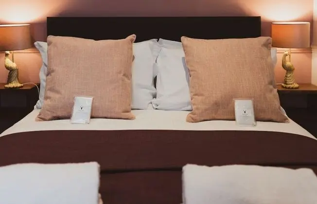 Tek Büyük Yataklı Oda (Standard Double Room)