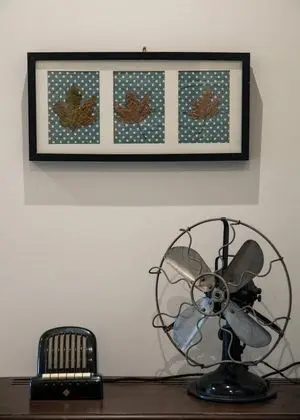 Ev