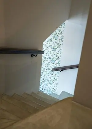 Ev