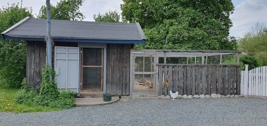 Family Dört Kişilik Oda