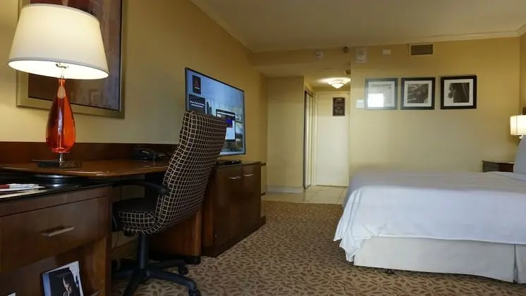Concierge Room, Oda, 1 En Büyük (King) Boy Yatak