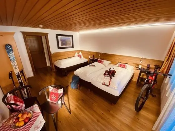 Economy Üç Kişilik Oda, Balkon, Dağ Manzaralı