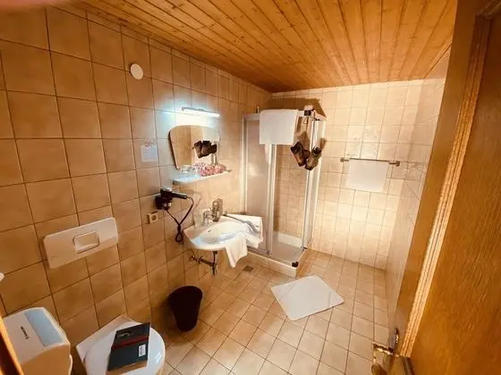 Economy Üç Kişilik Oda, Balkon, Dağ Manzaralı