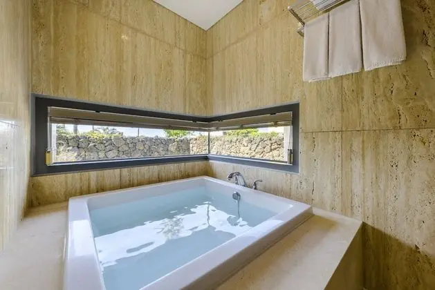 Deluxe İki Ayrı Yataklı Oda, 1 Yatak Odası (Extra person fee KRW 35000/p on site)