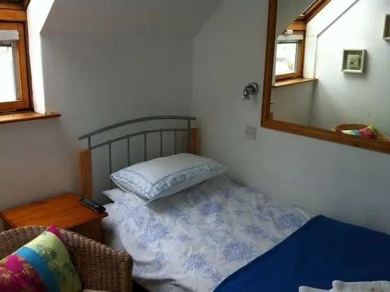 Premium Tek Büyük Yataklı Oda, Banyolu/Duşlu (Room 4)