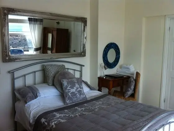 Premium Tek Büyük Yataklı Oda, Banyolu/Duşlu (Room 4)