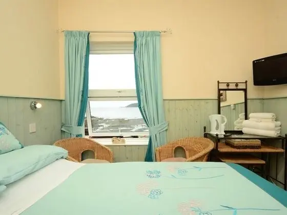 Premium Tek Büyük Yataklı Oda, Banyolu/Duşlu (Room 4)