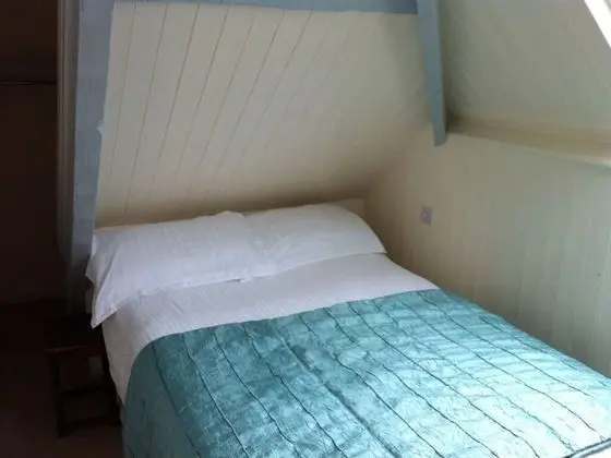 Premium Tek Büyük Yataklı Oda, Banyolu/Duşlu (Room 4)