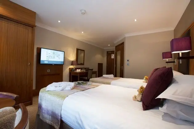 Deluxe Tek Büyük veya İki Ayrı Yataklı Oda