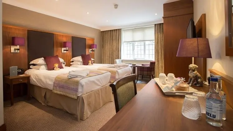 Deluxe Tek Büyük veya İki Ayrı Yataklı Oda