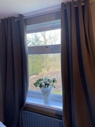 Comfort Tek Büyük Yataklı Oda, Ortak Banyo (Double Room)