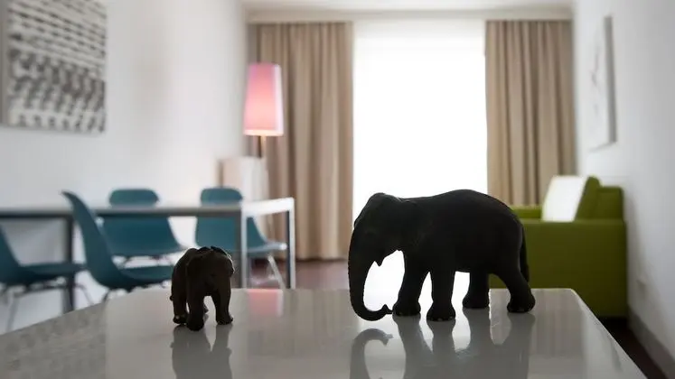 Apart Daire, 1 Yatak Odası, Balkon (Elephant)