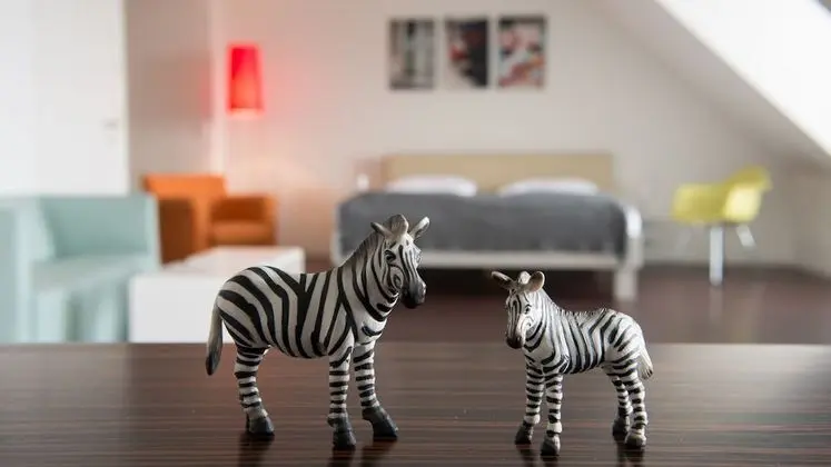 Çatı Katı Süiti (Penthouse), Teras, Şehir Manzaralı (Zebra)