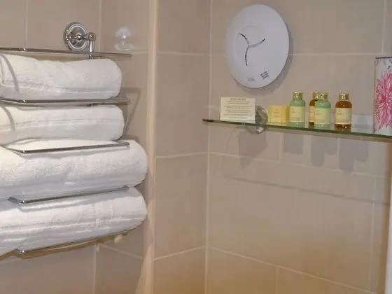 Standard Tek Büyük Yataklı Oda, Banyolu/Duşlu (.Rm 1)
