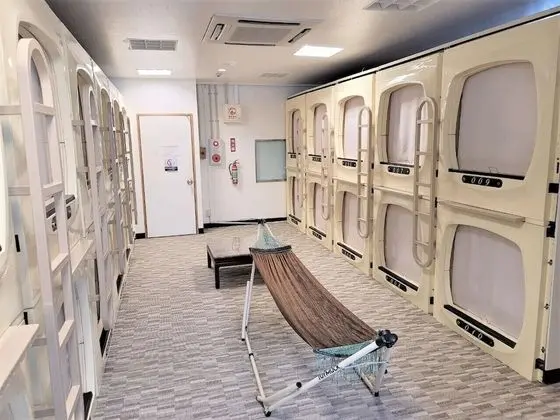 Oda, 1 Tek Kişilik Yatak, Sigara İçilmez, Ortak Banyo