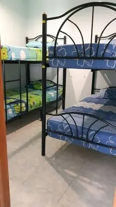 4-Bed Mixed Dorm
