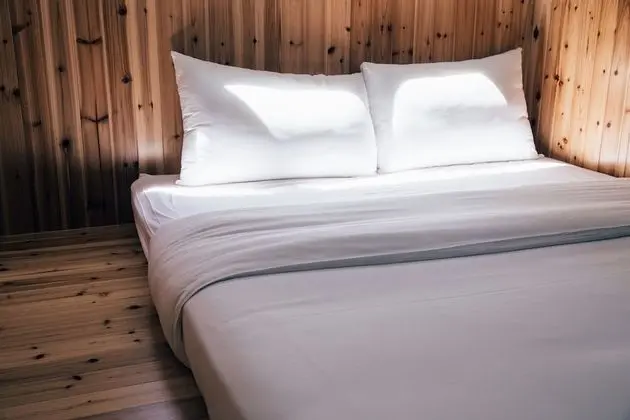 Standard Tek Büyük Yataklı Oda, 1 Çift Kişilik Yatak