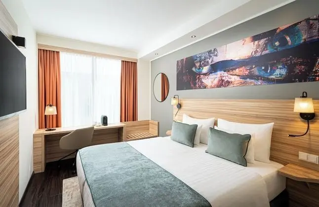 Standard Tek Büyük Yataklı Oda, Sigara İçilmez (1 Double Bed)