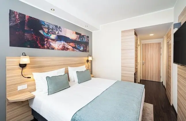 Standard Tek Büyük Yataklı Oda, Sigara İçilmez (1 Double Bed)
