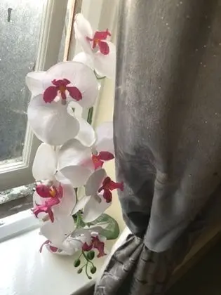Classic İki Ayrı Yataklı Oda, Ortak Banyo