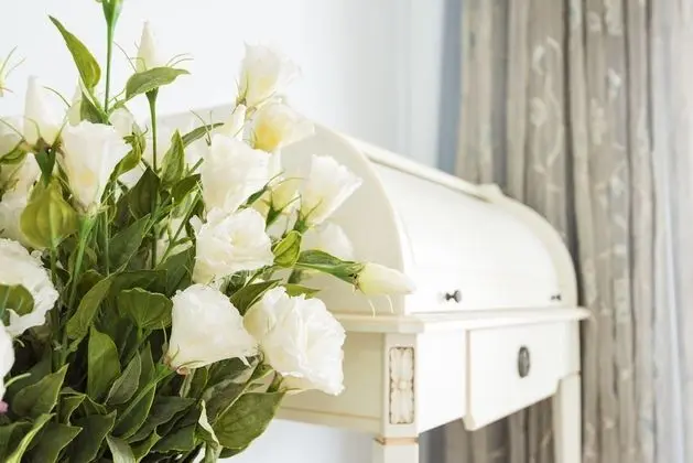 Luxury Tek Büyük Yataklı Oda, 1 Çift Kişilik Yatak, Sigara İçilmez, Şehir Manzaralı
